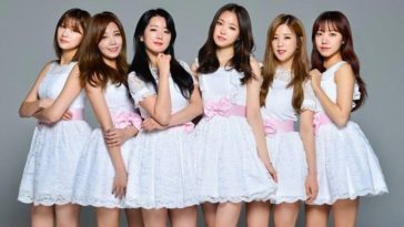 cara diet artis korea